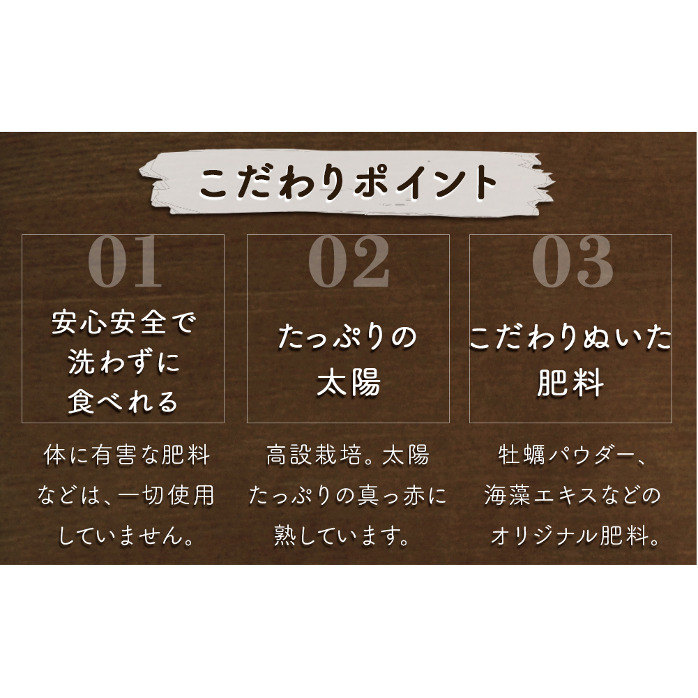 【朝摘みをお届け！】【2024年12月頃より順次発送】 フルーツガーデンやまがたのいちご「うずしおベリー」特大粒16個 【数量限定】 いちご フルーツ 果物 苺 イチゴ 旬の果物 季節の果物 鳴門の果