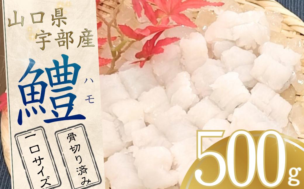 
                  【宇部産】ハモ 冷凍 500g 【一口サイズ】【ハモ はも 鱧 山口県産 宇部産 山口県宇部産 魚 処理済み 骨切り 湯引き 天ぷら 鍋 鍋料理 料理 大容量 一口サイズ 贈呈品 贈り物 返礼品】
                