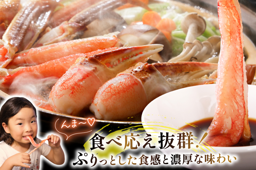 【2025 年内配送】 カット済 生 ずわいがに むき身 セット 総重量 1.5kg (正味重量1.2kg) 2-3Lサイズ [カネダイ 宮城県 気仙沼市 20565690] かに カニ ズワイガニ 