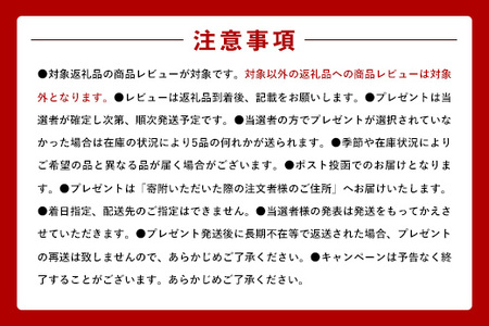 令和5年産『甲佐の輝き』無洗米16kg　（5kg×2袋、6kg×1袋）【配送月選択可！】／出荷日に合わせて精米　【価格改定ZB】