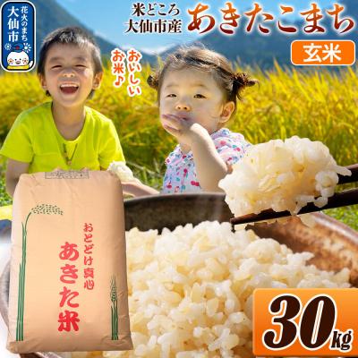 ふるさと納税 大仙市 米 令和7年産【玄米】30kg(30kg×1袋)|22_ssn-023001