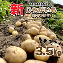 【ふるさと納税】 じゃがいも 野菜 新じゃが 特別栽培 ポテト キタアカリ 無農薬 TAGATAME タガタメ