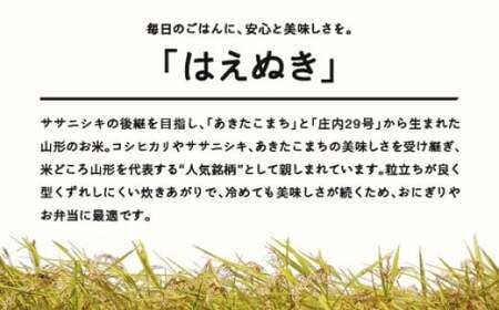はえぬき 精米 5kg 4月中旬~4月下旬発送 配送時期選べる 令和7年産 2025年産 ※沖縄・離島への配送不可 tf-hasxb5-4s