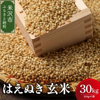 ふるさと納税 米沢市 【先行予約】令和8年産 はえぬき 玄米 30kg ( 30kg × 1袋 ) 2026年産 米沢産