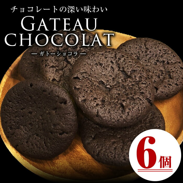 【ふるさと納税】メール便でお届け！ガトーショコラ(6個) 洋菓子 お菓子 おやつ 焼き菓子 スイーツ スウィーツ ケーキ【ケーキハウスカネヤマ】p7-038