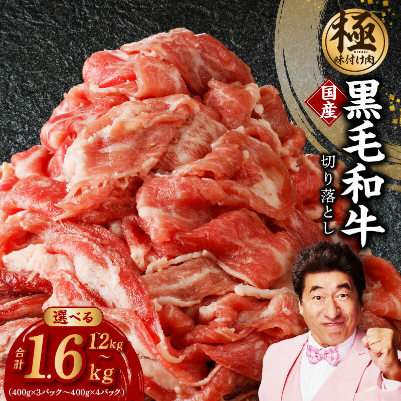 【ふるさと納税】【訳あり】【極味付け肉】国産 黒毛和牛 切り落とし 1.2kg / 1.6kg 小分け 各400g 部位不揃い 大阪府 泉佐野市 送料無料 肉の泉佐野 氷温熟成牛 牛肉 熟成肉 氷温熟成 作り方 ふるさと納税オリジナル 限定