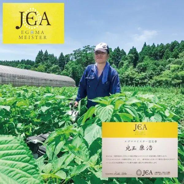 【毎日の健康に】えごまマイスターがつくる『生えごま油 110g×1本　遮光瓶タイプ』国産純度100%＜22-3a＞