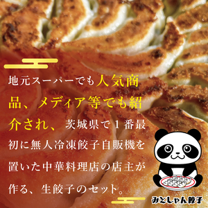 旨味たっぷり！本場プロの中華料理人が作る みとしゃんジャンボ餃子 30個（CS-5）