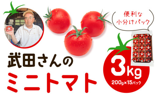 ＜ 先行予約 ＞ 武田さんのミニトマト 3kg （200g × 15パック）《7月中旬‐8月末頃出荷》武田賢一 徳島県 美馬市 ミニトマト 送料無料 野菜 とまと トマト 青果物