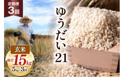 【3回 定期便】米 令和7年産 玄米 ゆうだい21 5kg×3回 計15kg [穂足農園 山梨県 韮崎市 20745229] お米 玄米 ご飯 ごはん こめ コメ 美味しい 15キロ