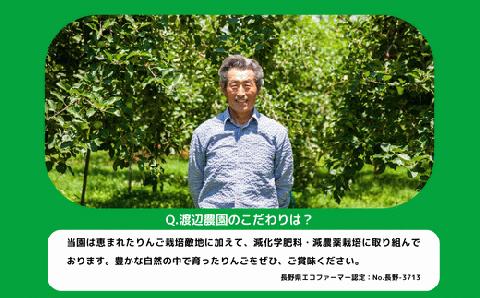 りんご サンふじ 秀 ～ 特秀 5kg 渡辺農園 沖縄県配送不可 2024年12月上旬頃～2025年1月中旬頃順次発送予定 令和6年度収穫分 エコファーマー 減農薬 長野県 飯綱町 [0169]