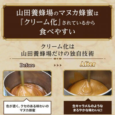 【毎月定期便】マヌカ蜂蜜(クリームタイプ)MG250+200g(22178)　マヌカハニー全6回