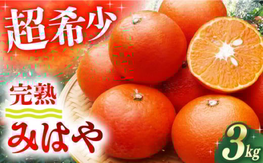 【先行予約】【ご家庭用】 みはや 3kg ー2025年12月より発送ー 長与町/果豊園 [ECL004] みかん ミカン 柑橘 かんきつ フルーツ 果物 完熟 季節限定 家庭用 先行予約 長崎県産 長与町