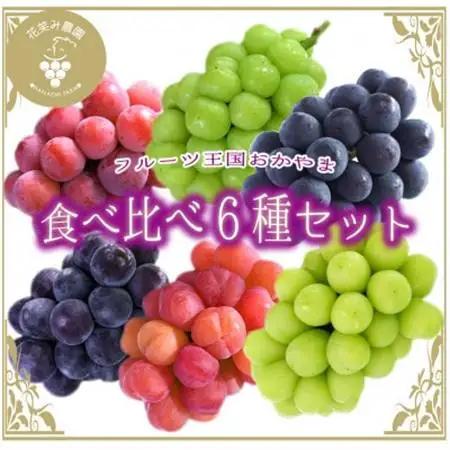 【2026年先行受付】岡山　花笑み農園のブドウ『食べ比べ6種セット』6M-5【配送不可地域：離島】【1695980】