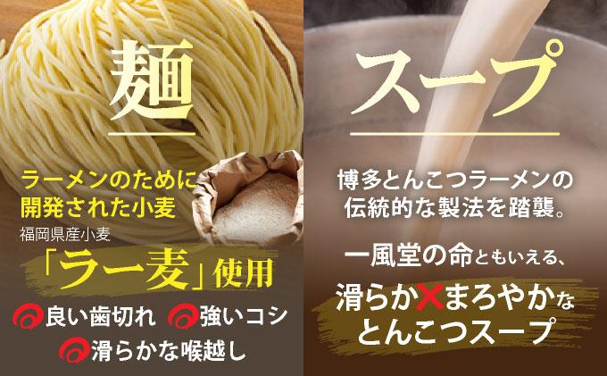 ラー麦使用「一風堂」とんこつラーメン 白丸（ホットもやしソース付き）16食（8食×2）