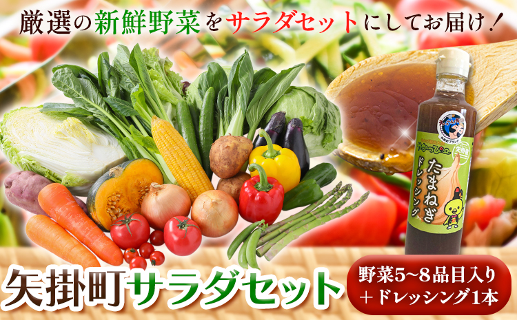 先行予約 矢掛町 サラダ セット 野菜 5～8品目入 青空市きらり《4月上旬から10月上旬頃に出荷予定》岡山県 矢掛町 野菜 野菜詰め合わせ ドレッシング トマト きゅうり アスパラガス 玉ねぎ リーキ 送料無料---osy_ckrrsrd_ad410_24_9500_s---