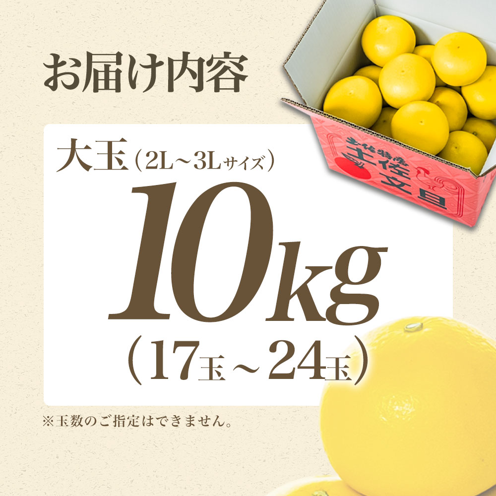 【日本ギフト大賞2024受賞】先行予約 園主こだわり土佐文旦 【大玉10kg】（3L～2L） 2027年1月下旬より順次発送 家庭用 ぶんたん ブンタン 【やの一果彩】 [BQAC003]