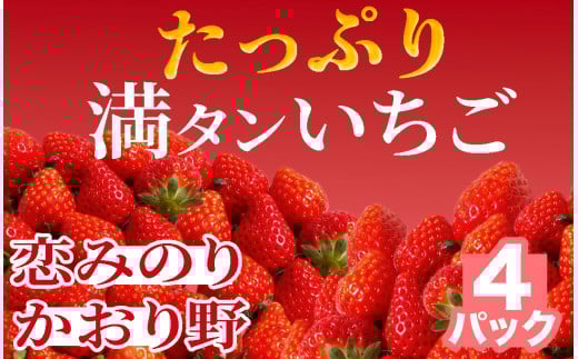【先行予約＿2026年出荷分】たっぷり 満タンいちご4パック 恋みのり,かおり野　から厳選　【 苺 いちご イチゴ かおり野 恋みのり 産地直送 旬 果物 フルーツ くだもの 静岡県 伊豆 南伊豆町 期間限定 】　<AA-9>