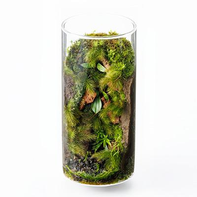 ふるさと納税 豊川市 いやしの苔テラリウム筒 |  | 03