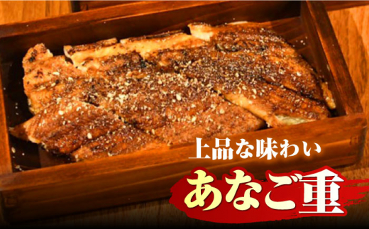対馬産 天然あなごの開き500g×2《対馬市》【すし処慎一】国産 肉厚 穴子 アナゴ 新鮮 冷凍 白焼き 天ぷら 揚げ物 贈り物 [WCO002]