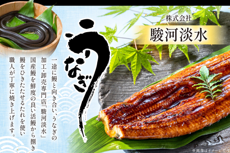 うなぎ 静岡県産 鰻2尾 約160g×2 蒲焼1尾 白焼1尾 [駿河淡水株式会社 静岡県 吉田町 22424653] 国産 鰻 ウナギ 蒲焼 蒲焼き かば焼き 白焼き 白焼 真空パック