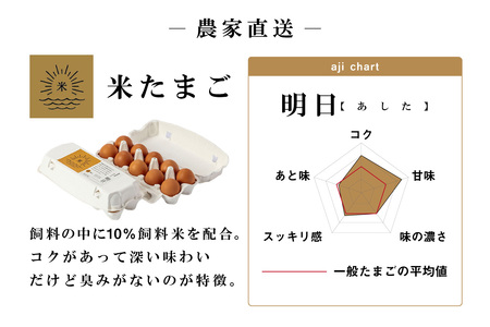 【9ヵ月定期便】ココテラスの明日（赤たまご）35個 + 5個保証（計40個）【JGAP認証】 農家直送 新鮮 卵 タマゴ 赤卵 玉子 鶏卵 朝食 夕食 夜食 朝ごはん たまご焼き オムレツ 卵ご飯 料