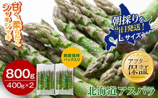 
                  【2027年先行予約】露地物朝採りアスパラ　鮮度保持フィルム入り　Lサイズ　400g×2　合計800g（5月中旬発送開始予定）【 アスパラ アスパラガス 朝採り とれたて 野菜 旬 小分け 保存 産直 産地直送 お取り寄せ 旭川市 北海道 】_03818
                