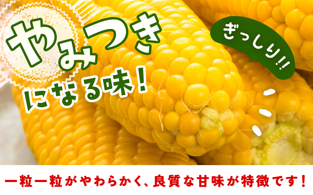 【先行予約】自慢のスイートコーン『ゴールドラッシュ』18～22本(約7kg)西都市特産<1-122>2026年発送 とうもろこし 野菜 宮崎県西都市