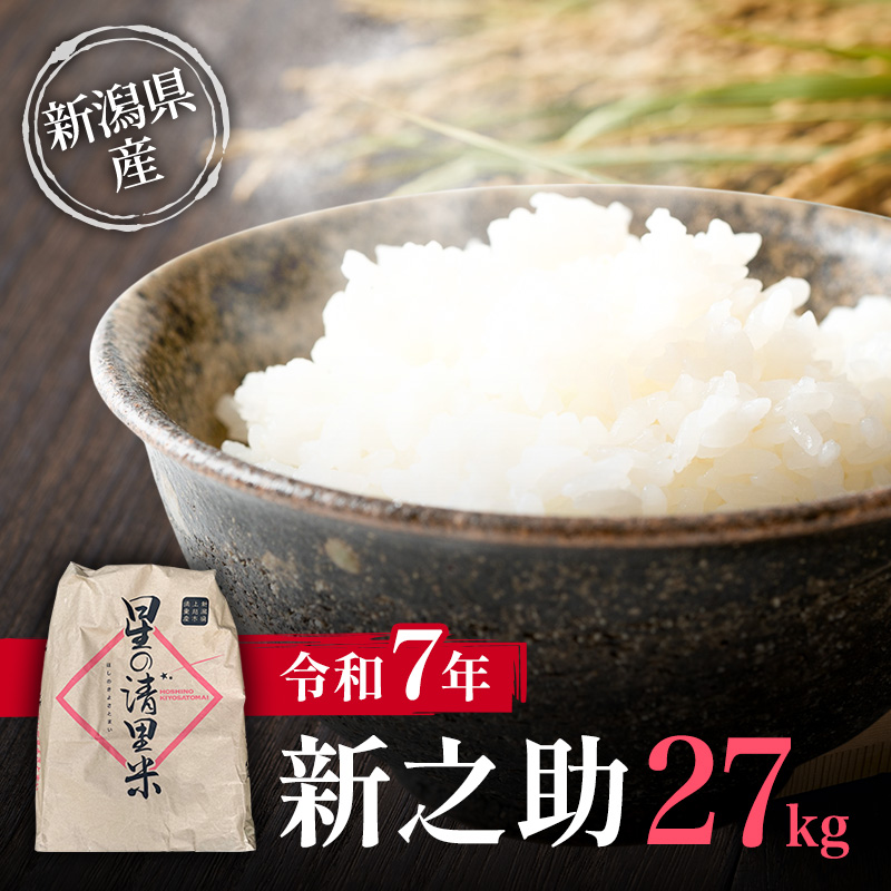 【先行予約10月中旬より順次出荷】令和7年 新潟県産 新之助 27kg 上越市清里区 新潟 精米 従来品種 希少 限定