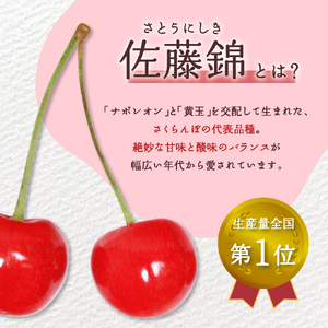 【令和7年産先行予約】さくらんぼ佐藤錦 秀L1kg以上(500gバラ詰め×2パック)山形県河北町産【晴天畑】　（山形県 山形県河北町 河北町 フルーツ 2025年 令和7年産 さくらんぼ サクランボ 