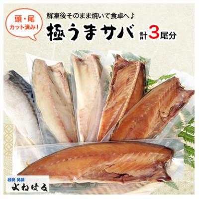 ふるさと納税 美浜町 極うまサバ【塩味&醤油みりん味】半身6パック(3尾) |  | 03