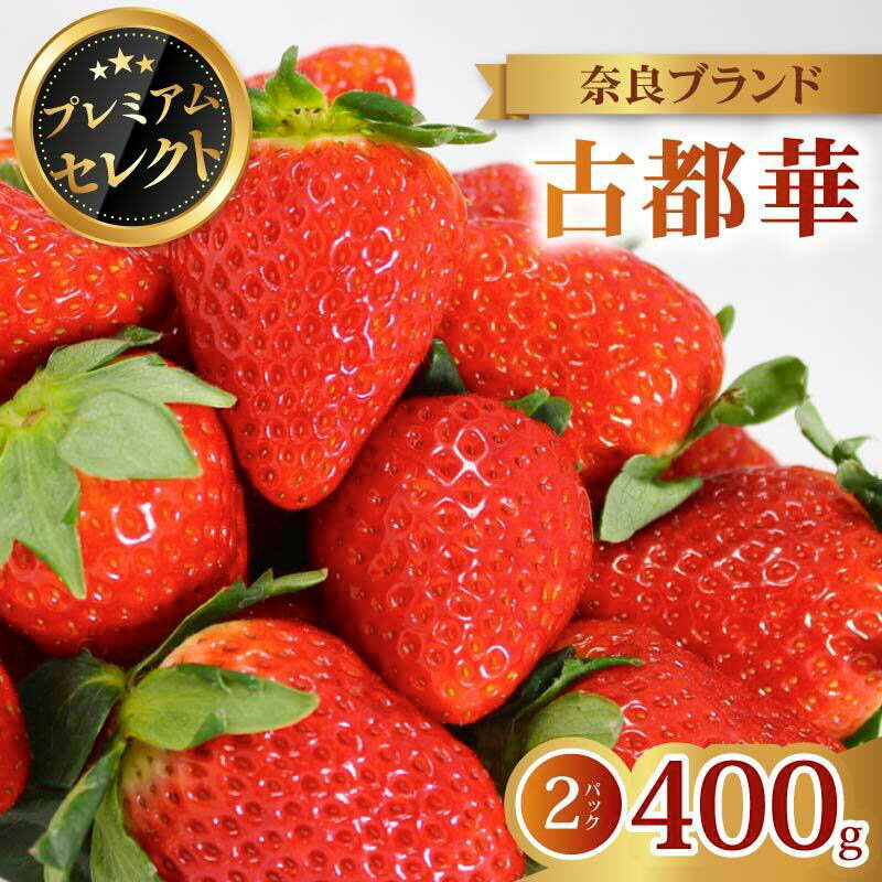 【ふるさと納税】 いちご プレミアム セレクト 古都華 2027年 発送 (400g×2パック) 贈答用 予約受付中 数量限定 先行予約 苺 奈良ブランド苺 ブランド 古都華 大粒 苺 旬 産地 直送 フレッシュ 新鮮 フルーツ 果物 くだもの 萩原いちご農園 奈良県 奈良市