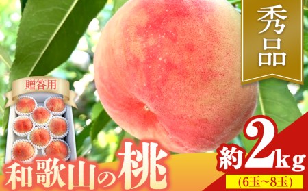 【先行予約】【贈答用/熨斗非対応】 秀品 和歌山の桃 約2kg (6玉~8玉) m&n果実園 【配送不可地域あり】 《6月中旬-7月下旬頃出荷》和歌山県 紀の川市 モモ 桃 もも 旬 白鳳 日川白鳳 なつっこ 果物 フルーツ 贈り物 ギフト