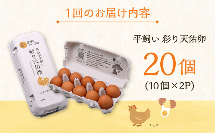 【全9回定期便】黄身の濃厚なコクと白身の甘み！たたらの里平飼い 彩り天佑卵 20個入り（10個×2P）たまご 卵 放牧卵 島根県雲南市/株式会社たなべたたらの里（たなべ森の鶏舎） [AIDL014]
