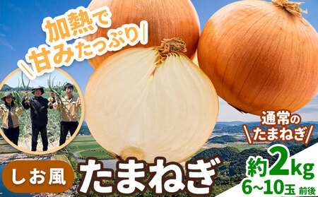 しお風たまねぎ 約2kg《6月上旬-6月末頃出荷》｜玉ねぎ玉ねぎ玉ねぎ玉ねぎ