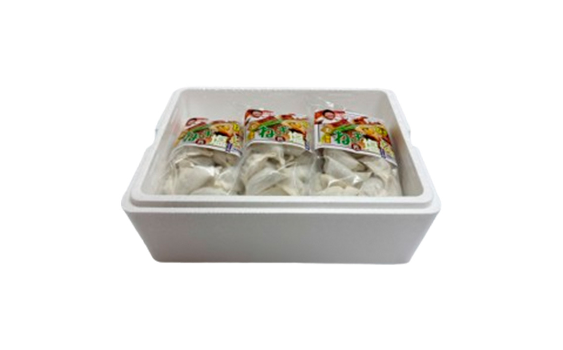 No.346 東金極楽ねぎ塩ぎょうざ6袋セット　20個入×6