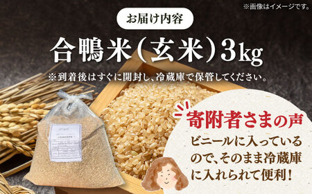 [栽培期間中 農薬不使用 ]【令和6年産 】古野農場の 合鴨農法 で作った「 合鴨米 （ 玄米 ） ４kg」  桂川町/合鴨家族 古野農場 [ADAL011]  合鴨米 米  白米 お米 無農薬米 支