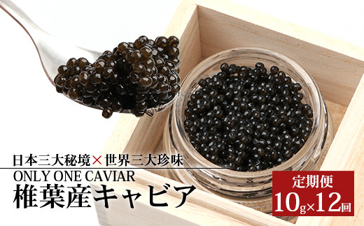 定期便 【桐箱入り】【12ヶ月お届け 合計120g(10g×12回)】HEIKE CAVIAR  【宮崎県 椎葉村】【世界三大珍味×日本三大秘境】［宮崎 椎葉 国産 きゃびあ キャビア 魚卵 卵 10g×12回 世界三大珍味 定期便 高級 高級食材 クリーミー 贈物 ギフト 記念日 誕生日 プレゼント］【SZ-111】