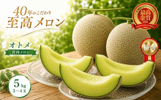 オトメ メロン 3～4玉 (合計約5kg) | 2027年 先行予約 メロン 完熟 果物 フルーツ ギフト  デザート  栃木県 真岡市 送料無料