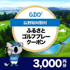 【長野県阿智村】GDOふるさとゴルフプレークーポン(3,000円分)