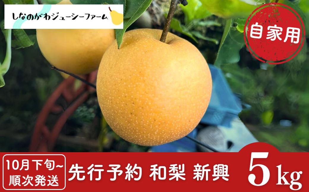 
            先行予約 和梨 新興 自家用 約5kg [10月下旬から発送予定] 新潟県 三条市産 梨 [しなのがわジューシーファーム]【010S494】
          