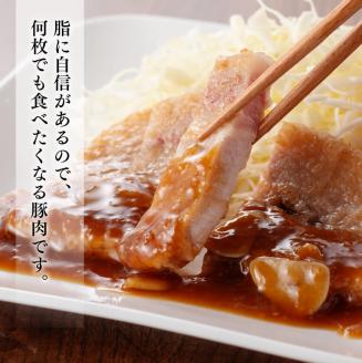 宮崎県産豚肉 小野さんちの豚ロースステーキ 3kg　豚肉[E10507]