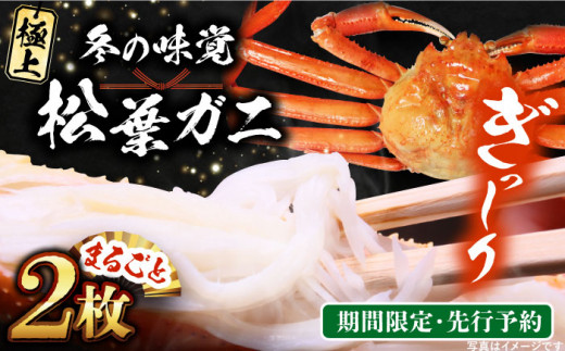 【期間限定・先行予約】冬の味覚の代表格！松葉ガニ 2枚 島根県松江市/フジキコーポレーション株式会社 [ALDS018]｜松葉ガニ かに カニ 鍋 グルメ 海鮮 お取り寄せ 国産 島根 松江 おすすめ