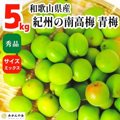 ふるさと納税 有田川町 青梅 南高梅 約5kg 秀品  サイズミックス 和歌山県産 A品 梅酒作り用 梅ジュース作り用