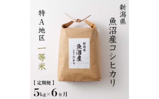 
                  【 定期便 】 5kg × 6ヶ月 特A 一等米 魚沼産 コシヒカリ　令和7年産　慣行栽培　新潟　新潟県　こしひかり　魚沼　特A地区　5キロ　頒布会
                
