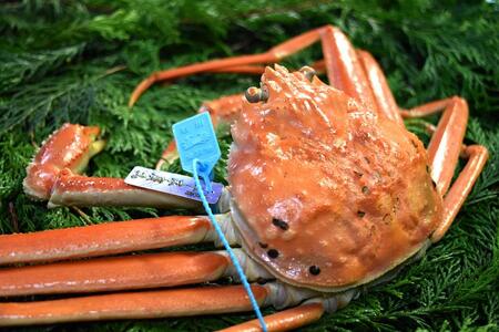 【訳あり】金沢港より直送！ボイル加能ガニ 2杯セット 蟹 かに