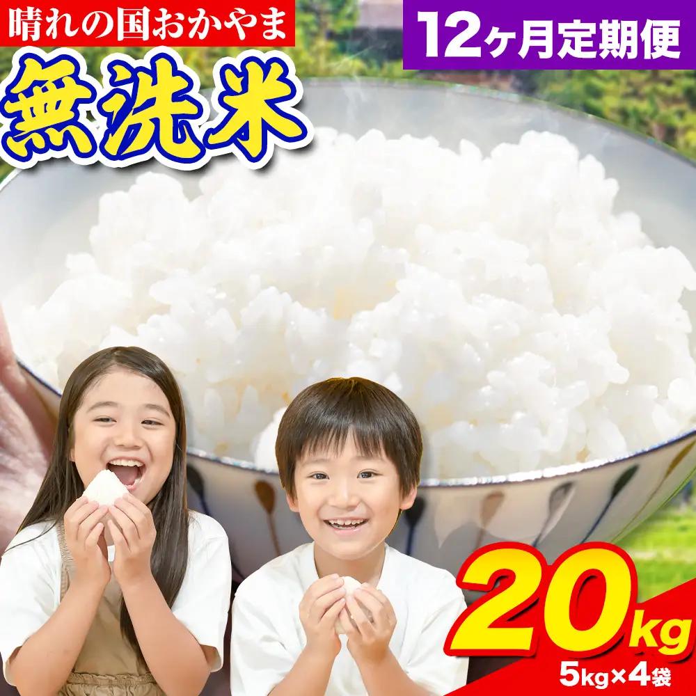 【12ヶ月定期便】晴れの国おかやま無洗米 20kg 無洗