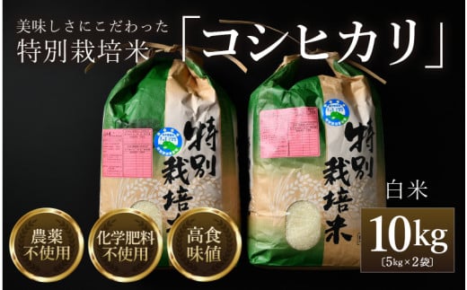【令和6年産】コシヒカリ 精米 5kg×2袋（計10kg） 特別栽培米 農薬不使用 化学肥料不使用 ／ 残留農薬ゼロ 高品質 福井県産 ブランド米 精米 [aw063-c007]