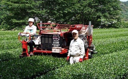 014-185 特上煎茶 かぶせ 100ｇ×4袋 400g