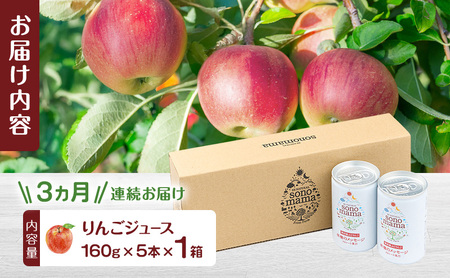 《 定期便 3ヵ月 》 りんごジュース「sonomama」（160g×5本）×1箱 りんご リンゴ ジュース リンゴジュース 飲料